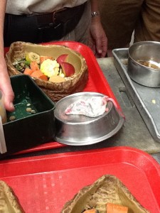 Dead mouse dinner for owl, yummy